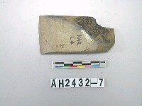 藏品(中型磨製石錛)的圖片